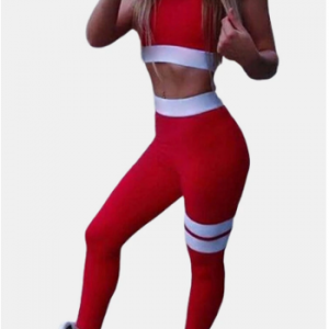 Women's Sexy Yoga Sports Suit Sports Fitness Suit discountshub