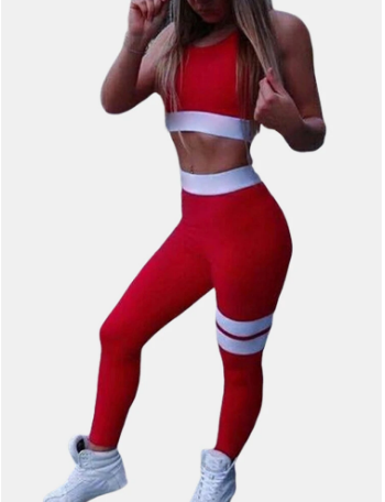 Women's Sexy Yoga Sports Suit Sports Fitness Suit discountshub