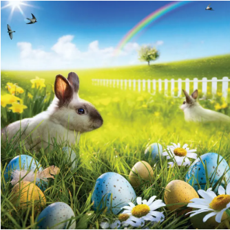 80x125cm Easter Rabbit Egg Photo Background Spring Break Happy Time Collection Helper Home Wall Art discountshub