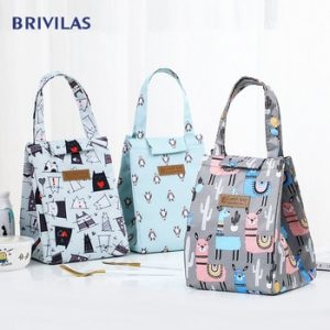 Brivilas cooler lunch bag fashion ctue cat Multicolor bags women waterpr hand pack thermal breakfast box portable picnic travel discountshub