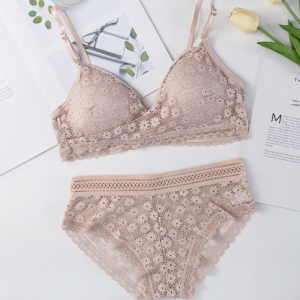 Lace Women's Underwear Set Sexy Bra Transparent Female Brassiere Push Up Bra and Panty Sets Embroidery Lingerie discountshub
