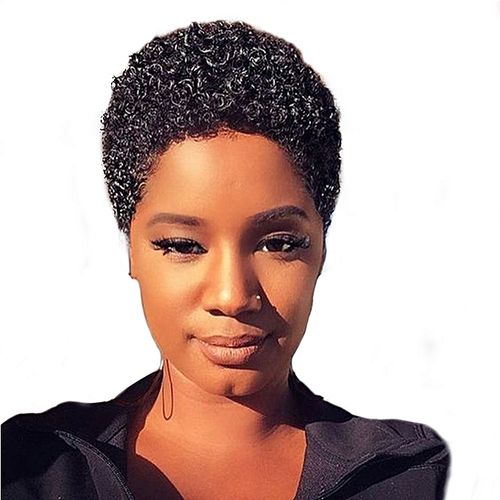 Women Short Black Front Curly Hairstyle Synthetic Hair Wigs discountshub