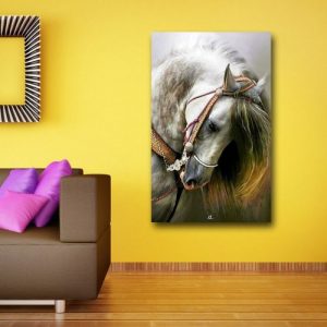 Awesome Pretty White Horse Wall Canvas discountshub