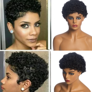 GAKA Short Afro Kinkly Curly Synthetic Wigs for Africa American Black Women Pixie Cut Natural Brown Wig discountshub