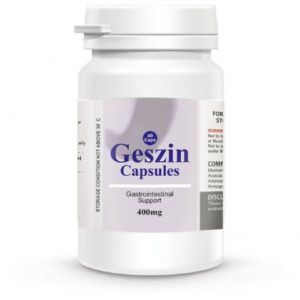 Geszin Capsules Gastro-Intestinal Support - 400mg - 40 Capsules discountshub