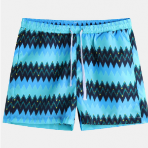 Men Ethnic Style Stripe Printing Hawaii Board Shorts Surfing Quick Drying Beach Casual Shorts discountshub