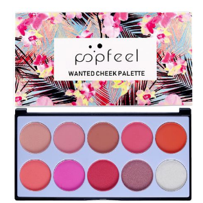 10 Shades Professional Blush Palette Makeup Cosmetic Natural Blusher discountshub