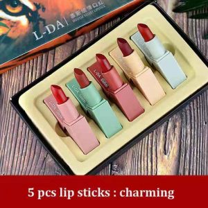 5 PCS Of Cosmetic Lipsticks / Rouge discountshub