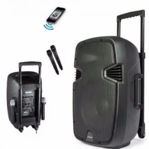 Rechargeable Bluetooth Speaker System With Wireless Microphone Radio discountshub