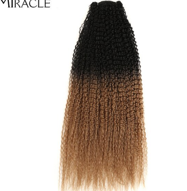 Miracle Afro Kinky Curly Bundles Synthetic Hair Weaving 120g/Pcs Curly Hair  Bundles High Temperature Fiber Hair Extensions - Discountshub