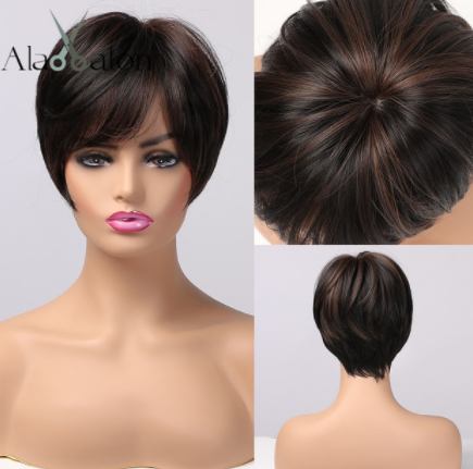 ALAN EATON Black Brown Synthetic Wigs with Highlights Short Straight Wigs for Women Natural Hair Heat Resistant Wigs with Bangs discountshub