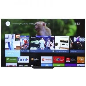 Sony A8f 4k Uhd Hdr Oled Television - Xbr55a8f discountshub