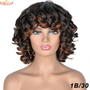 Short Hair Afro Kinky Curly Wigs With Bangs For Black Women Synthetic African Ombre Glueless Cosplay Wigs High Temperature discountshub