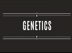 Introduction to Human Genetics discountshub