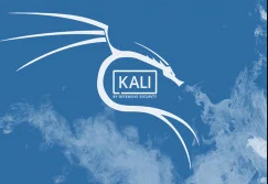 (Kali Linux) 2020.4 Optimization before hacking discountshub