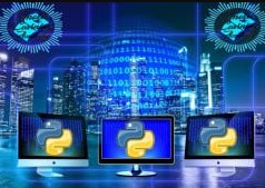 Python Learn by Python Projects & Python Quizzes in 2021 discountshub