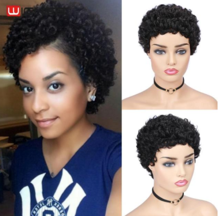 Wignee Short Curly Human Hair Wig For Black Women Remy Brazilian Hair Afro Curl Glueless Pixie Cut Short Human Wig Free Shipping discountshub