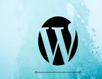 Wordpress Complete Beginners Guide discountshub