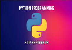 Python Programming for Beginners discountshub