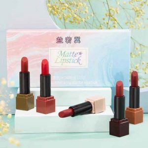 5 PCS Of Cosmetic Lipstic discountshubks / Rouge