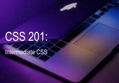 CSS 201: Intermediate CSS discountshub