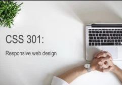 CSS 301: Responsive web design discountshub