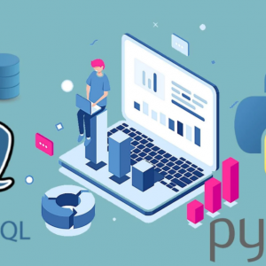 Data Analyst Bootcamp discountshub