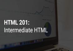 HTML 201: Intermediate HTML web development discountshub