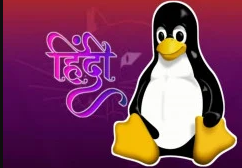 Linux Command Line Terminal Basic for Beginners (In Hindi) discountshub