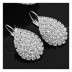 Women Shiny Waterdrop Rhinestone Claw Hook Earrings discountshub