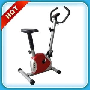 Magnetic Bike discountshub