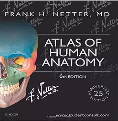 Atlas Of Human Anatomy discountshub